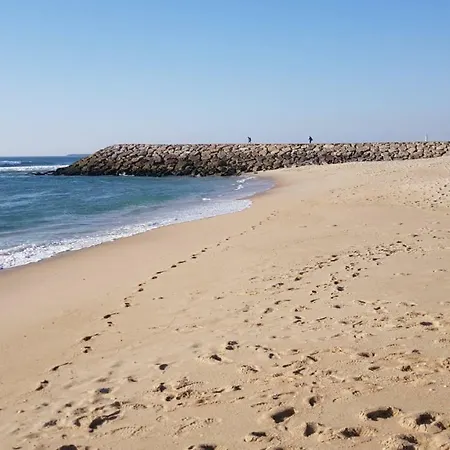 Apartamento Salinas House - T3 - Costa Nova