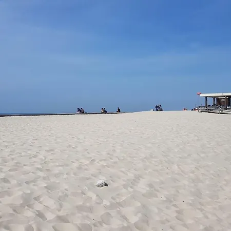 Salinas House - T3 - * Costa Nova