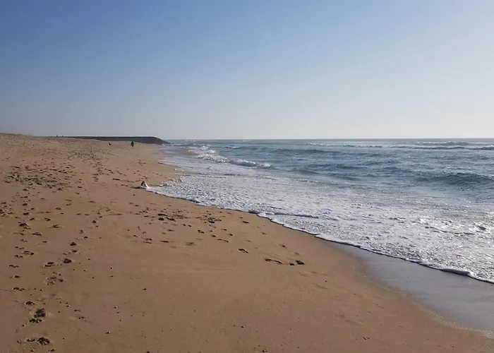 Salinas House - T3 - コスタ・ノヴァ