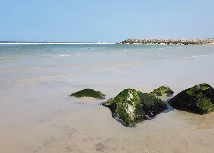 Salinas House - T3 - アパート