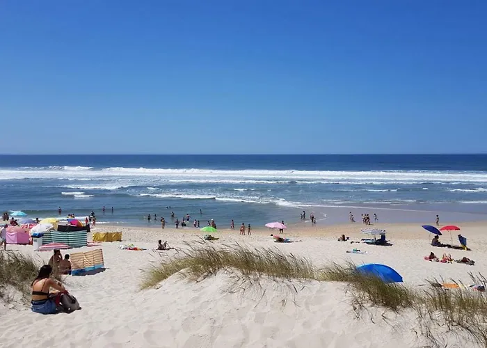 Salinas House - T3 - アパート